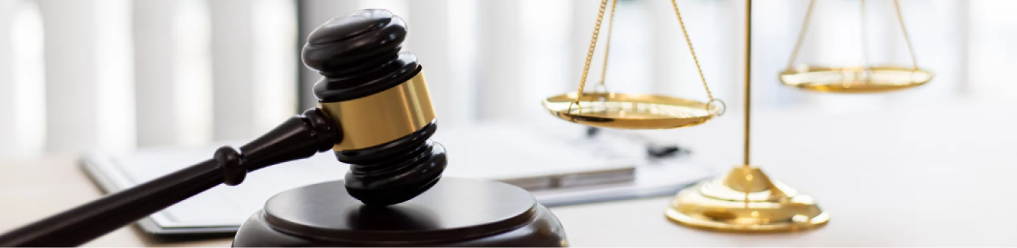 Intellectual Property Consulting